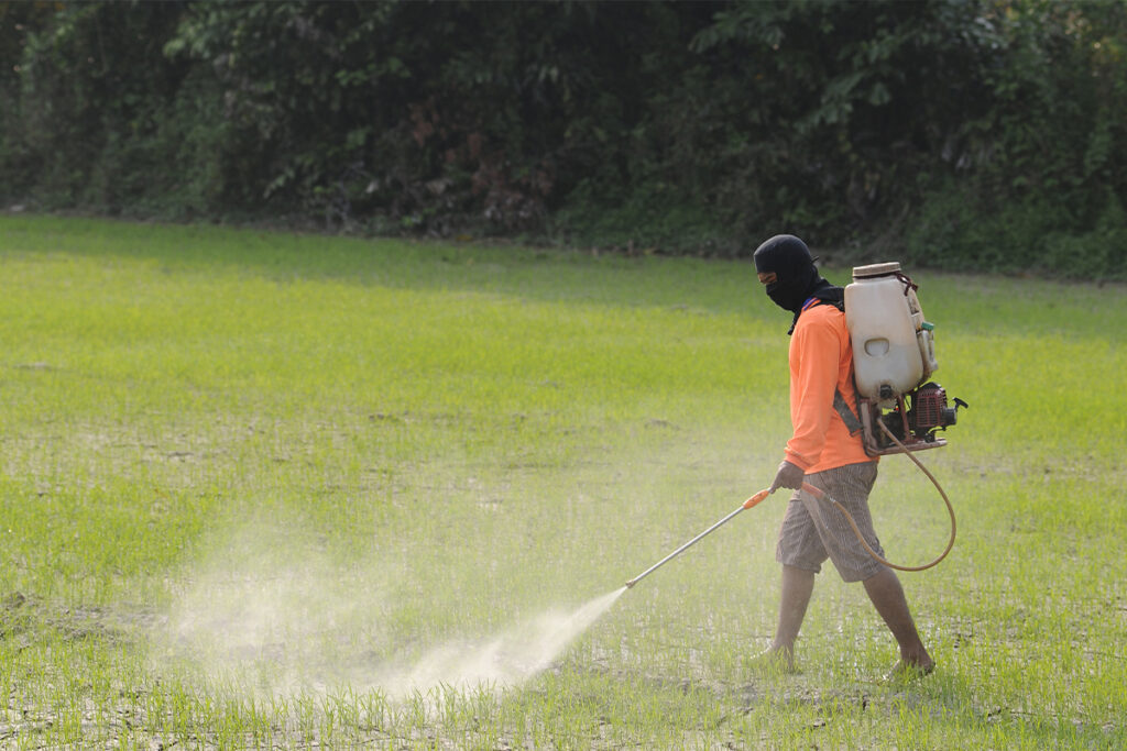 Residential and Commercial Hydroseeding in Portland