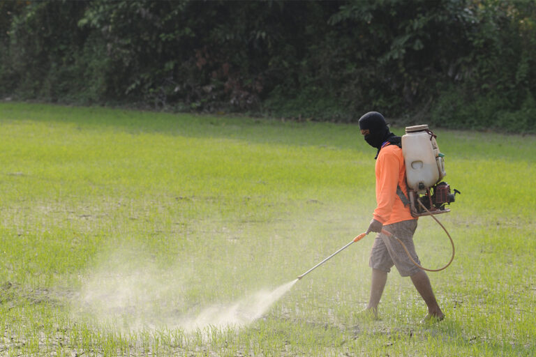 Residential and Commercial Hydroseeding in Portland