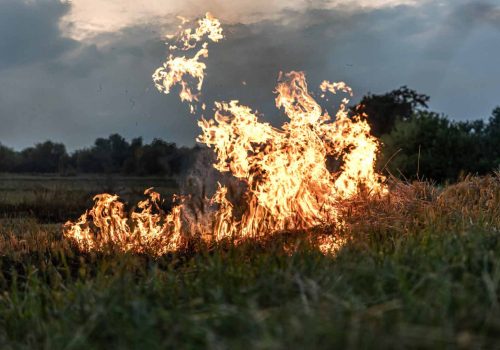 fire-steppe-grass-is-burning-destroying-everything-its-path-scaled-11